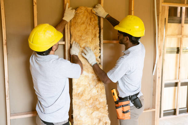 Types of Insulation We Offer in Farmerville, LA